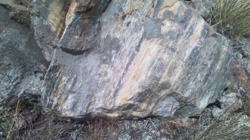 Гигантские зелёные валуны для ландшафтного дизайна весом более 5 тонн купить в Талдом